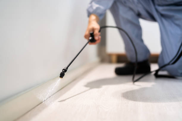 Certified termite inspector examining foundation in Greenland